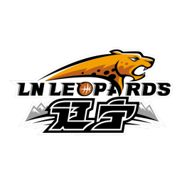 山东山高U19