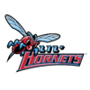 圣家大学